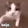 beijo.