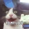 Só reações de deboche 12