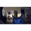 Curious Cat Peeking