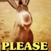Animals Reaction 14