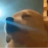 Dançar para ser feliz 16
