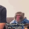 No pasa nada ya cálmate