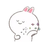 ⋆୨୧˚ bunny salting ˚୨୧⋆ 6