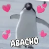 Memes de Animales 🐕🐈 11