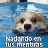 Animados Facheritos😌✅ 8
