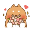 TONTON CUTE 🥹🥰 6