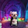 🧿 Pibble, o cachorro 🐕🐶 5