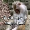 🍌🦍MoNoS #2🍌🦍 10
