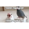 Mabarlossgif 5