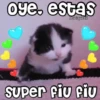 💓🐱Michis Para Tu Amorcito🐱💓 6