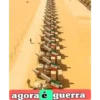 @bobcat.oficial tiktok kwai 7