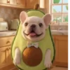 🐶 Perro Pibble TikTok  15