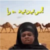 إلى تين تياد د را
