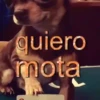 ✨️🎵📋 • FRASES TIKTOK • 📋🎵✨️ 23