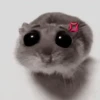 ❦̷ ⃝⃔❤⃪ᭂƘ⃪Cɦeᥲ𝛛ᥲ᬴᭄⃕͜
Hamster 11