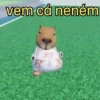 vem cá neném