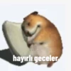 hayırlı geceler
