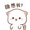Kucing putih 16