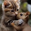 Gatos expresivos random 🐈💬 15