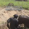 Novas do Amostradinho 💀🤣 15