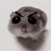 ❦̷ ⃝⃔❤⃪ᭂƘ⃪Cɦeᥲ𝛛ᥲ᬴᭄⃕͜
Hamster 15