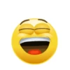 Kumpulan emoji emoji 12
