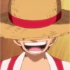 Monkey D. Luffy 9
