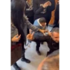Köksal Baba Videos 5 30