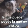 la que puede puede la que no critica