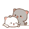 Kucing bucin 8