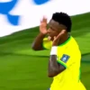 COPA、BRASIL  🇧🇷 ⭐️ 5