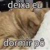 Cat 11