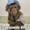 🐒 Macaco | Deboche Sincerão 13