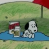 🦴🏠 SNOOPY 12 🏠🦴 22