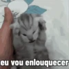 eu vou enlouquecer