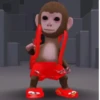 Monos 4🐒 changos🙈 2