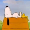 🦴🏠 SNOOPY 12 🏠🦴 20