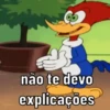 Pica pau nervoso 14