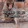 AY PERO SI YO TE AGARRO...