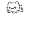 Myaowl cat  11