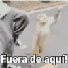 Fuera de aquí!