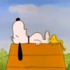 🐶Snoopy🐶 15