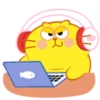 Egg Yolk Cat 2 24