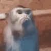 Crazy Monkey 🐒 12