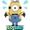 Minions 13