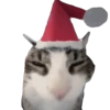 Meme Kucing Viral #2 🐱 21