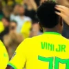 COPA、BRASIL  🇧🇷 ⭐️ 9