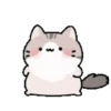 Animasi kucing lucu 11