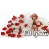 Thank you  يسلموا 27