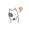 I'M CUTE BULL TERRIER🐾✨ 13